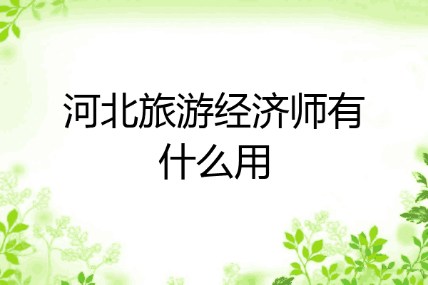河北旅游经济师有什么用