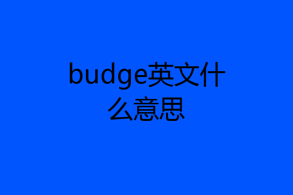 budge英文什么意思