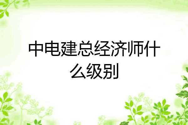 中电建总经济师什么级别