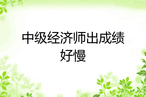 中级经济师出成绩好慢