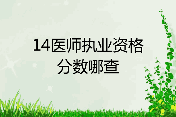 14医师执业资格分数哪查