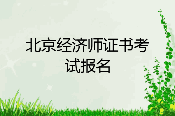 北京经济师证书考试报名