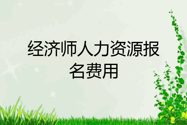 经济师人力资源报名费用