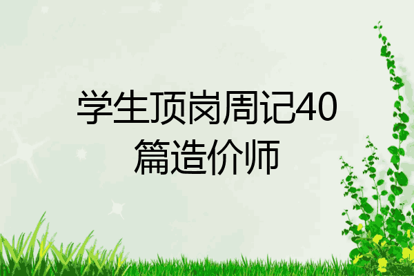 学生顶岗周记40篇造价师