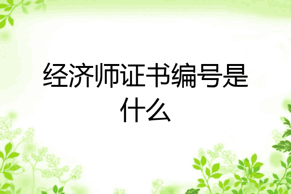 经济师证书编号是什么