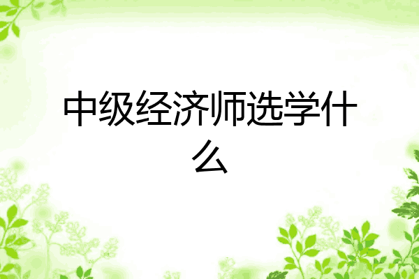 中级经济师选学什么