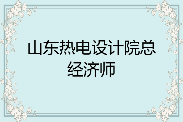 山东热电设计院总经济师