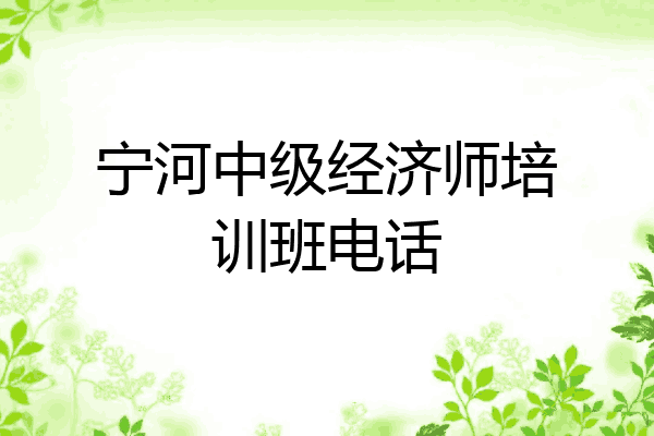 宁河中级经济师培训班电话