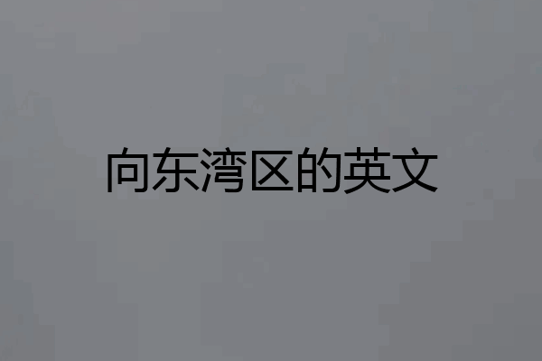 向东湾区的英文
