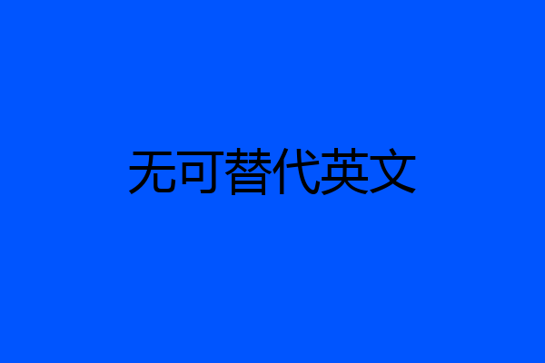 无可替代英文