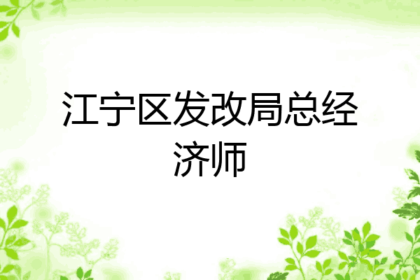 江宁区发改局总经济师