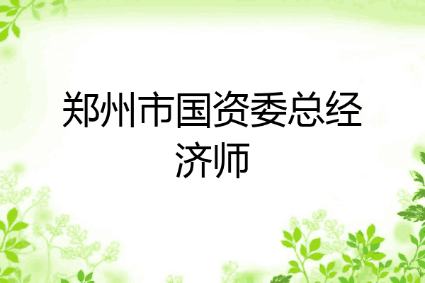 郑州市国资委总经济师