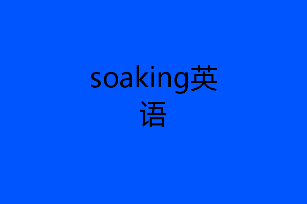 soaking英语