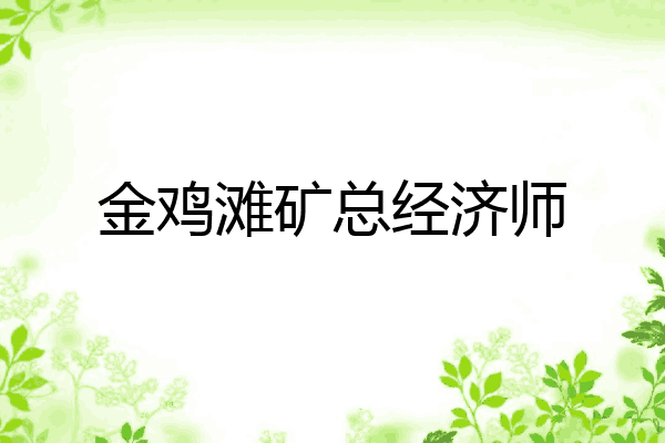 金鸡滩矿总经济师
