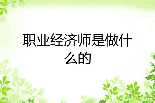 职业经济师是做什么的
