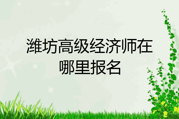 潍坊高级经济师在哪里报名