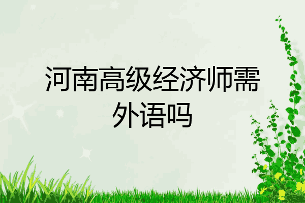 河南高级经济师需外语吗