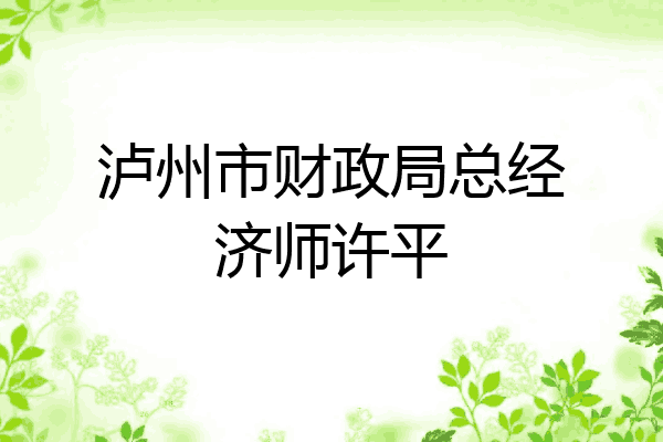 泸州市财政局总经济师许平