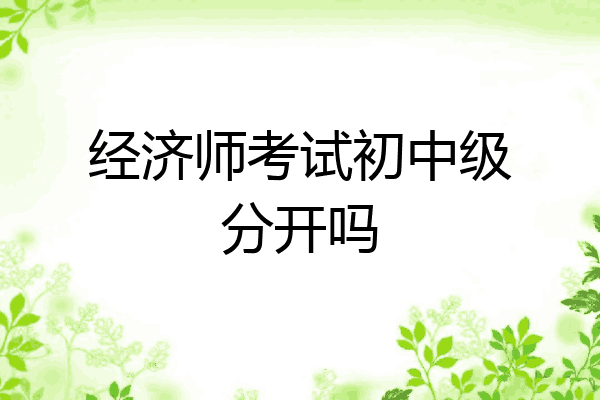 经济师考试初中级分开吗