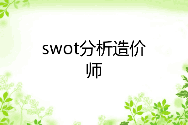 swot分析造价师