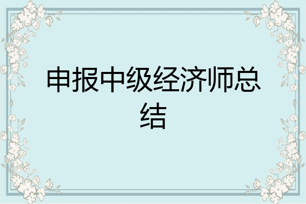 申报中级经济师总结