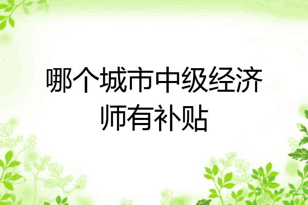 哪个城市中级经济师有补贴