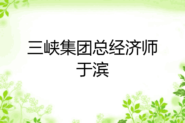 三峡集团总经济师于滨