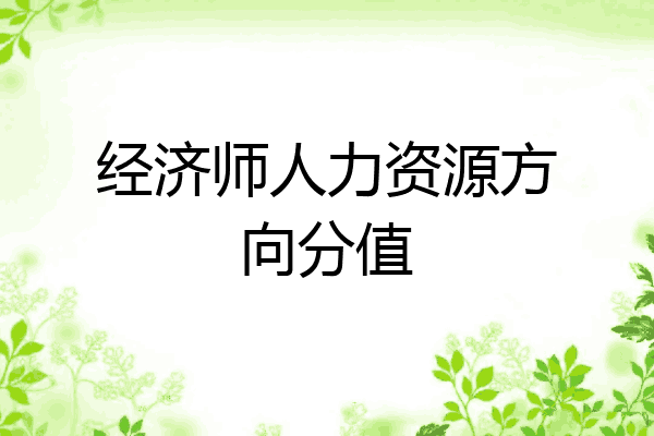 经济师人力资源方向分值
