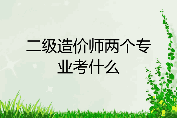 二级造价师两个专业考什么