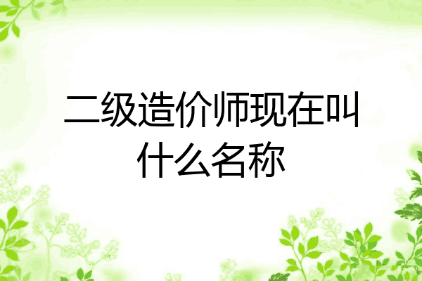 二级造价师现在叫什么名称