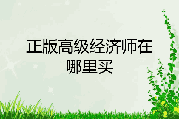 正版高级经济师在哪里买