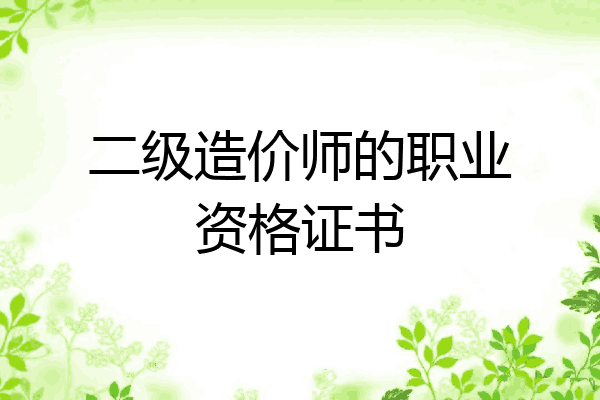 二级造价师的职业资格证书