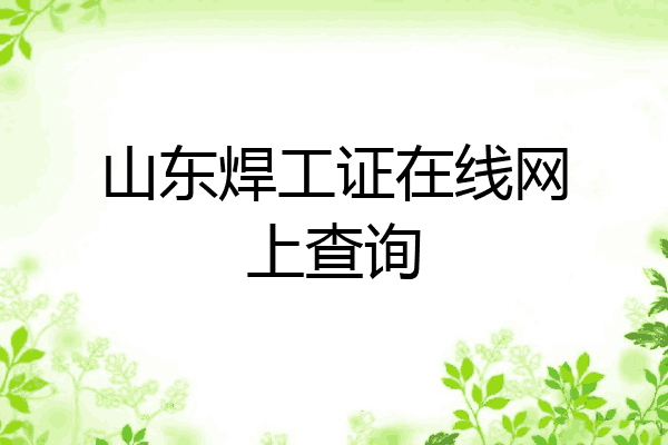 山东焊工证在线网上查询