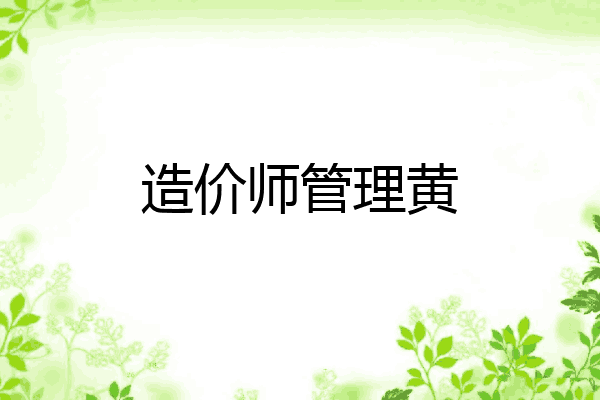 造价师管理黄