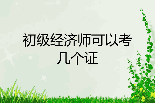 初级经济师可以考几个证