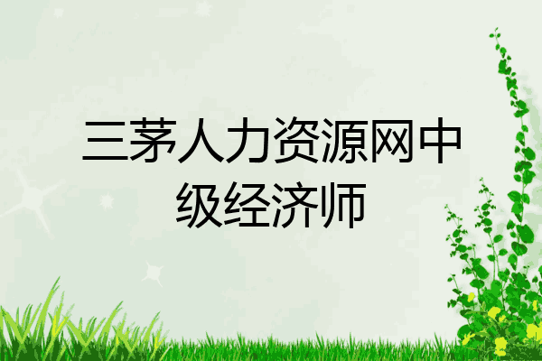 三茅人力资源网中级经济师