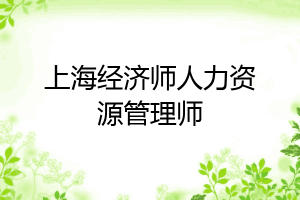 上海经济师人力资源管理师