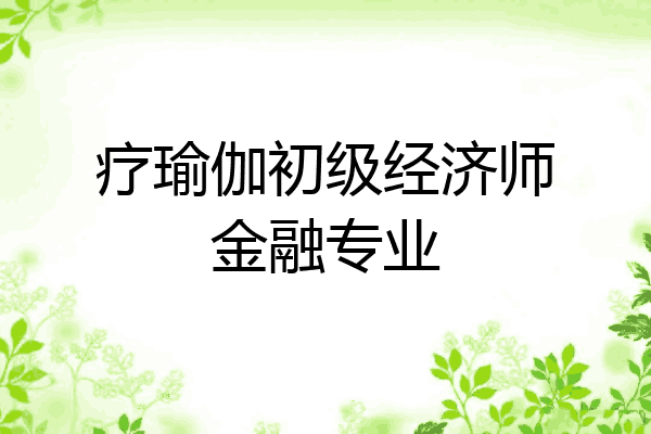 疗瑜伽初级经济师金融专业