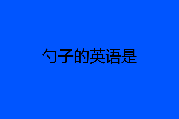 勺子的英语是