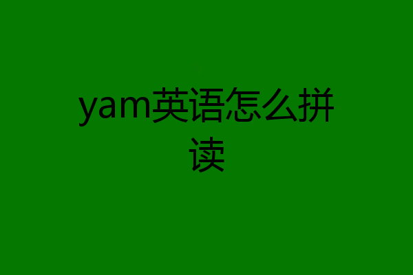 yam英语怎么拼读