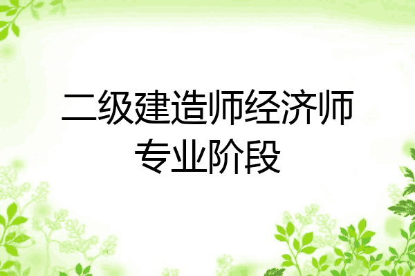 二级建造师经济师专业阶段