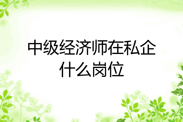 中级经济师在私企什么岗位