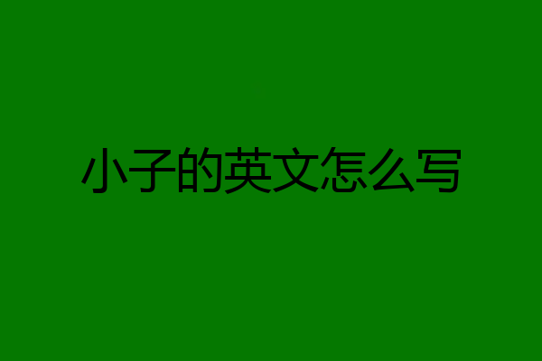 小子的英文怎么写