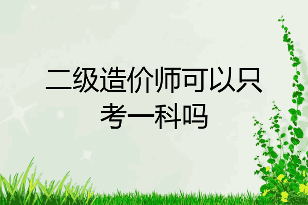 二级造价师可以只考一科吗