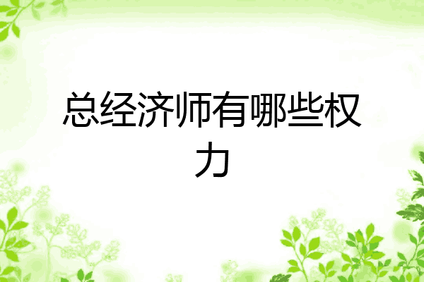 总经济师有哪些权力