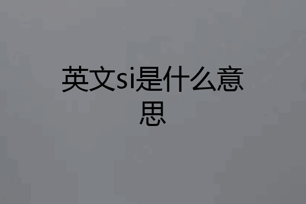 英文si是什么意思