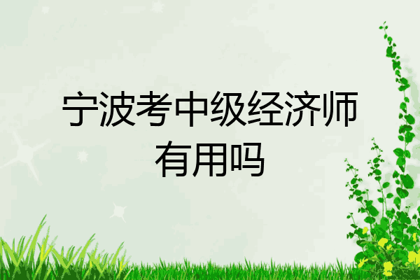 宁波考中级经济师有用吗