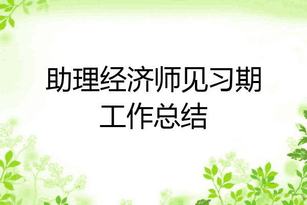 助理经济师见习期工作总结