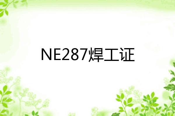 NE287焊工证