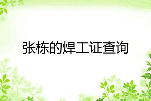 张栋的焊工证查询